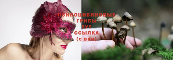 ешки Краснослободск