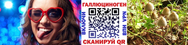 Купить закладки  Лыткарино  Псилоцибиновые грибы Magic Shrooms 
